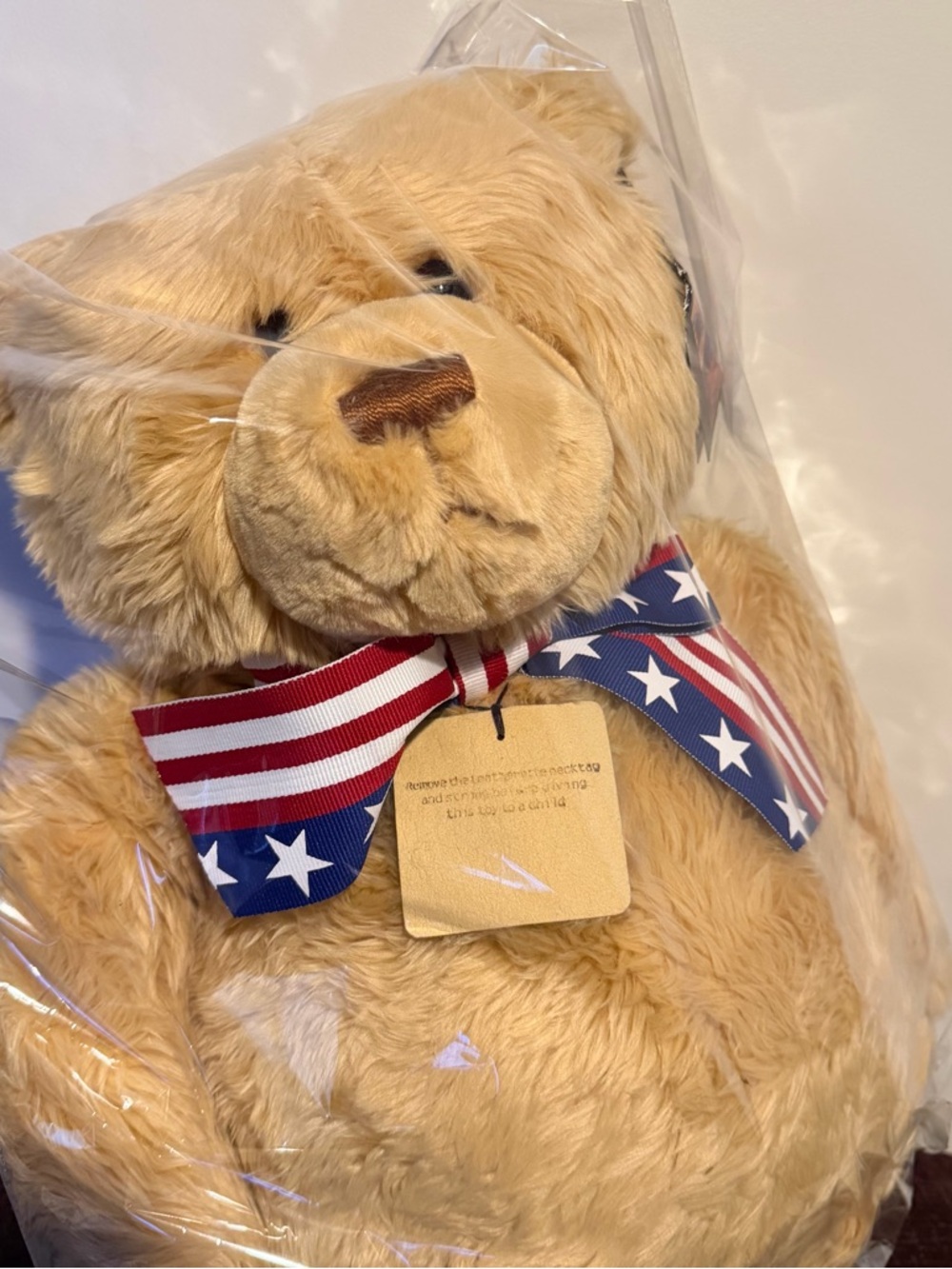 2002 Gund WISH BEAR Plush 100Th Anniversary of The Teddy Bear LARGE 26" - Picture 3 of 14